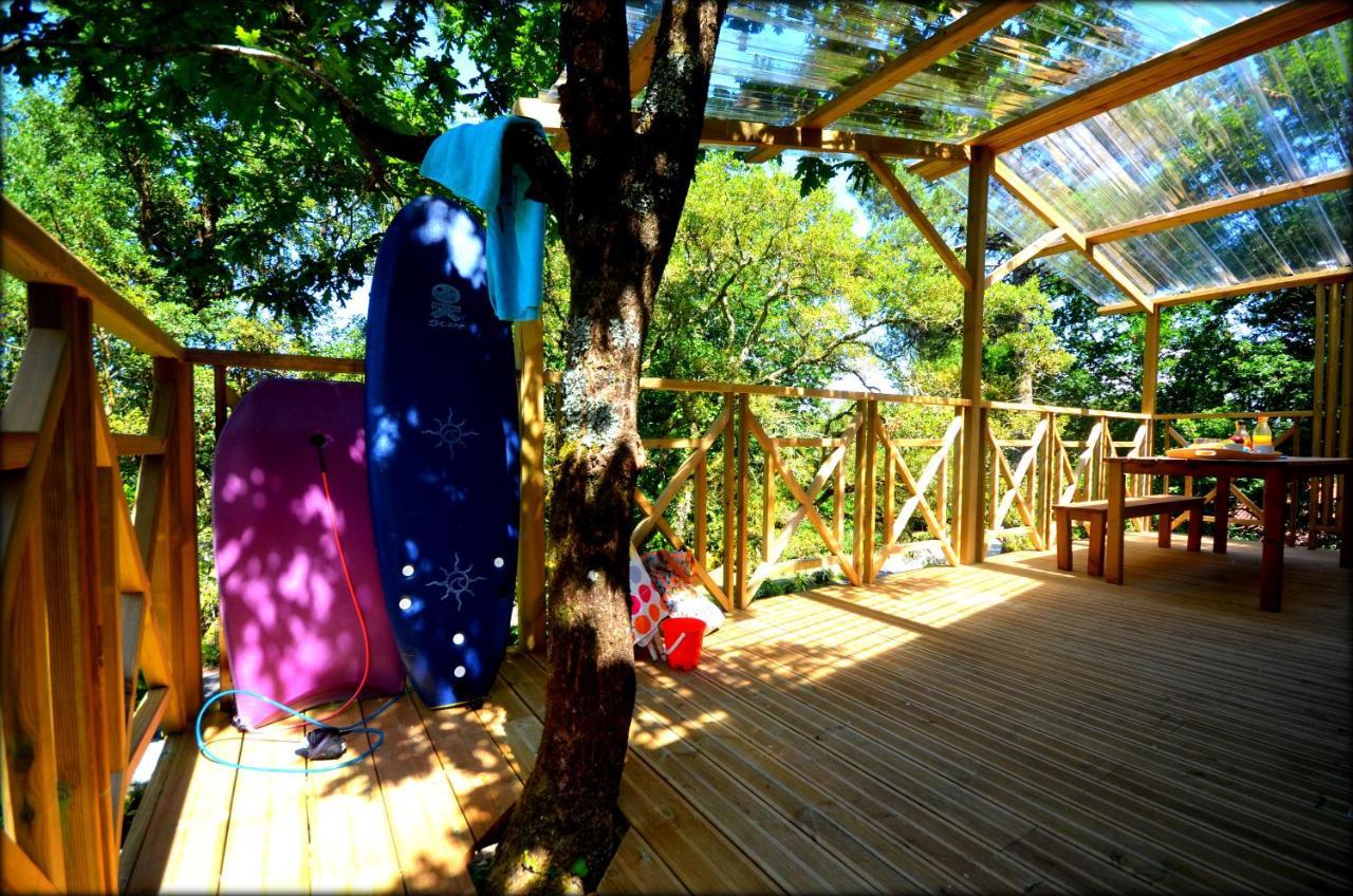 Village Nature Et Ocean A Cote De La Plage Avec Piscine Et Jacuzzi Messanges  Dış mekan fotoğraf