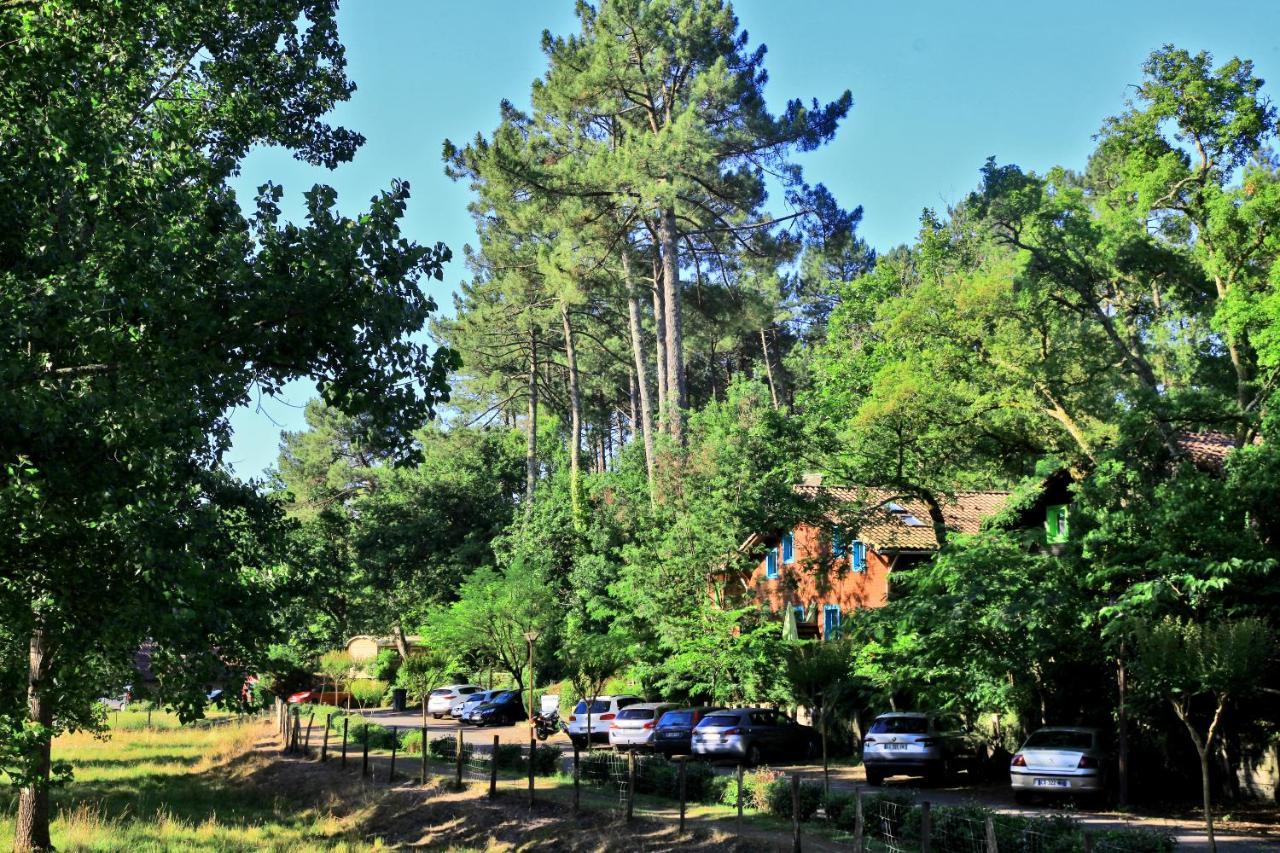 Village Nature Et Ocean A Cote De La Plage Avec Piscine Et Jacuzzi Messanges  Dış mekan fotoğraf