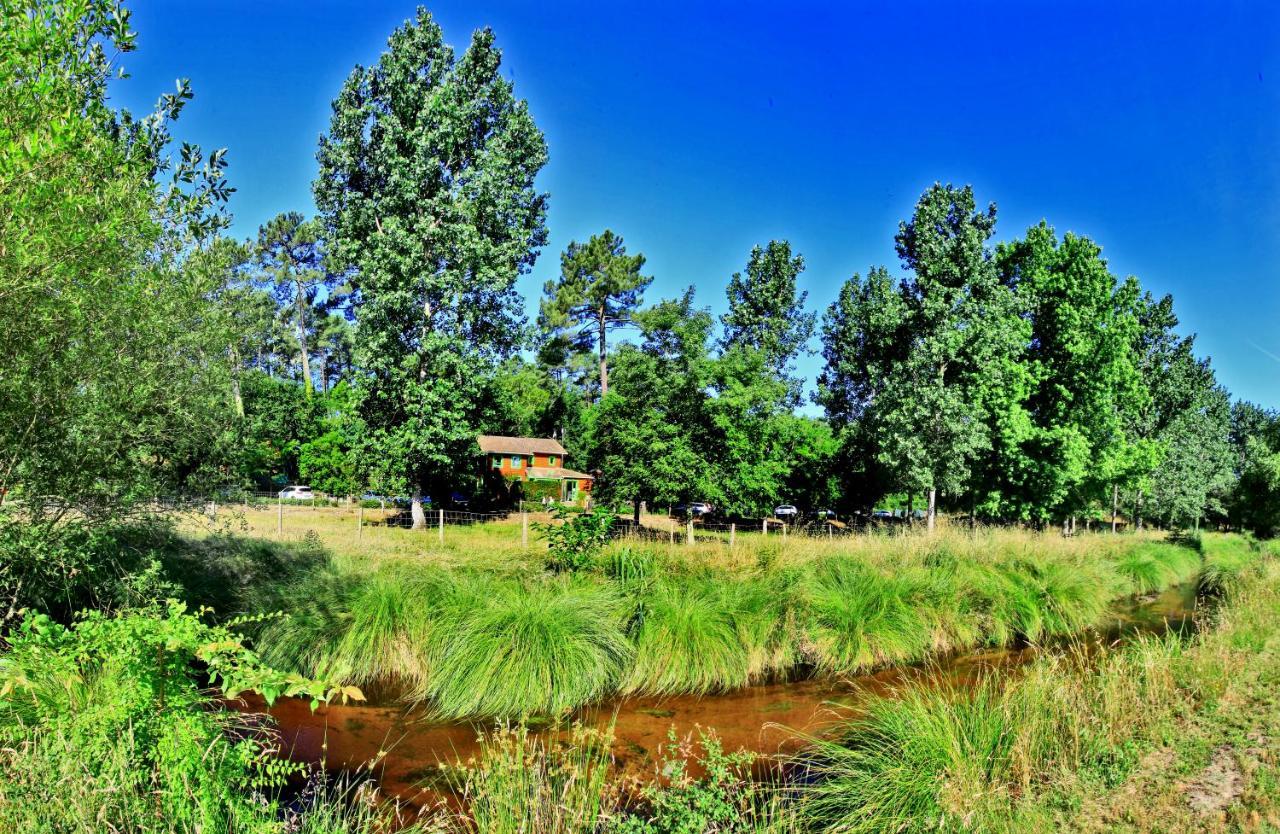 Village Nature Et Ocean A Cote De La Plage Avec Piscine Et Jacuzzi Messanges  Dış mekan fotoğraf